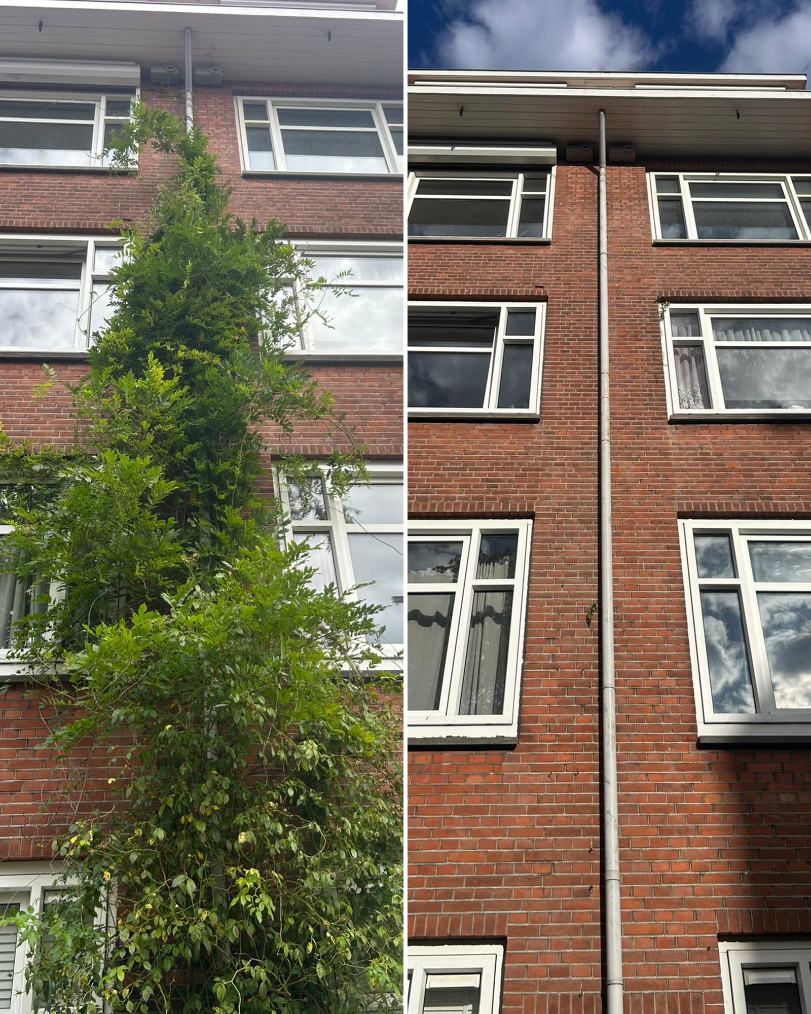 Buitenreiniging project in AMSTERDAM